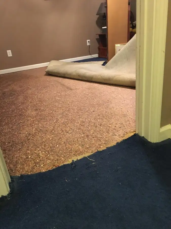 Carpet pad removal revealing water damage during Drying & Dehumidification in Washington
